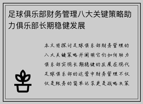 足球俱乐部财务管理八大关键策略助力俱乐部长期稳健发展 足球俱乐部财务管理八大关键策略助力俱乐部长期稳健发展