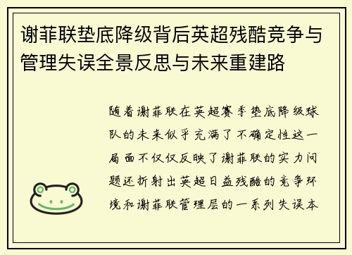 谢菲联垫底降级背后英超残酷竞争与管理失误全景反思与未来重建路